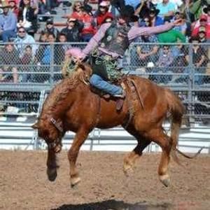 Meet your Posher, Norman